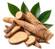Longjack (Eurycoma longifolia) en la fórmula de {{OFFER_NAME}}