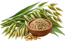Paja de avena en la fórmula de {{OFFER_NAME}}