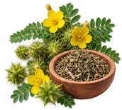 Tribulus terrestris en la fórmula de {{OFFER_NAME}}